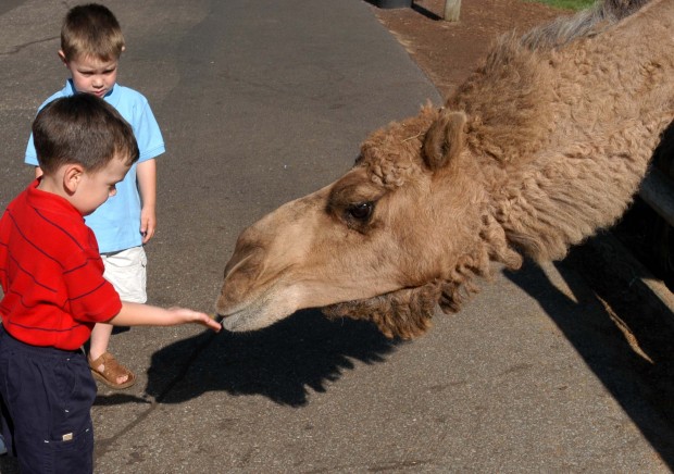 Grant's Farm